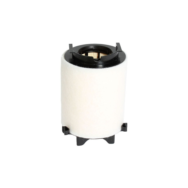 Filtr powietrza Professional Parts 24023576