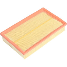 Filtr powietrza Professional Parts 24029777