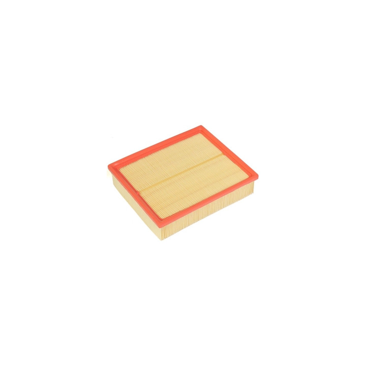 Filtr powietrza Professional Parts 24029787