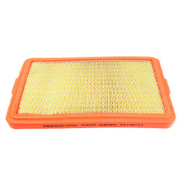 Filtr powietrza Professional Parts 24136144