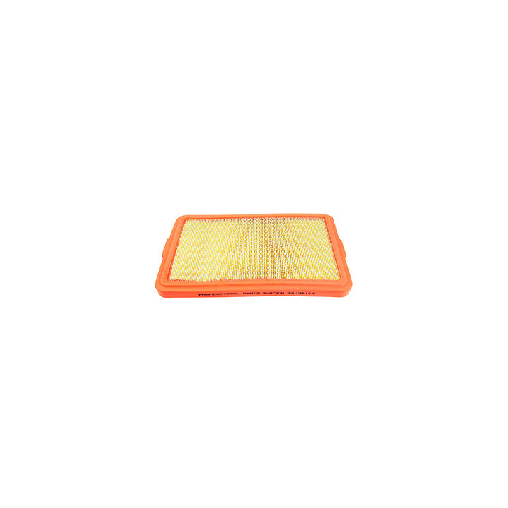 Filtr powietrza Professional Parts 24136144