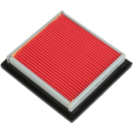 Filtr powietrza Professional Parts 24271618
