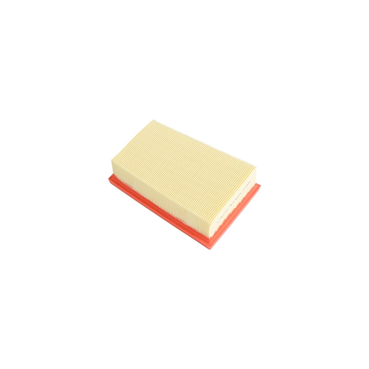 Filtr powietrza Professional Parts 24276546