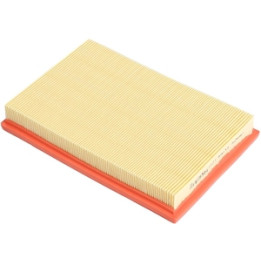 Filtr powietrza Professional Parts 24423059