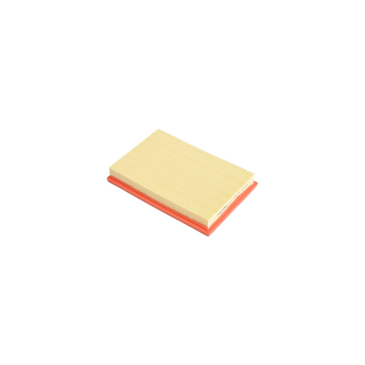 Filtr powietrza Professional Parts 24423059