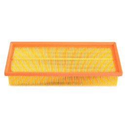 Filtr powietrza Professional Parts 24429620