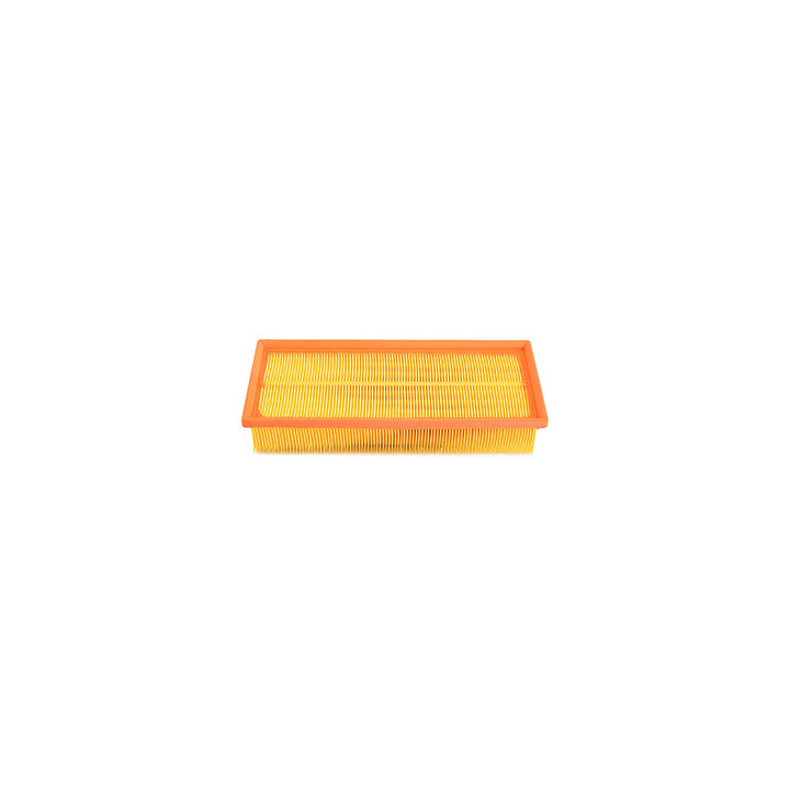 Filtr powietrza Professional Parts 24429620