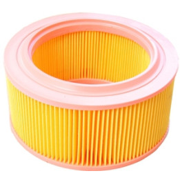 Filtr powietrza Professional Parts 24430406