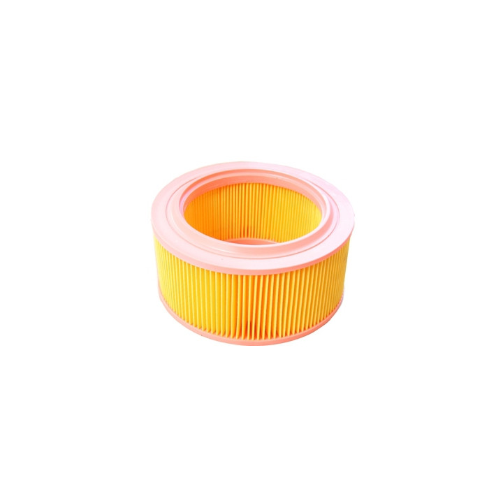 Filtr powietrza Professional Parts 24430406