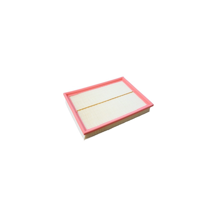 Filtr powietrza Professional Parts 24431033
