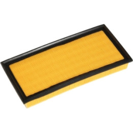 Filtr powietrza Professional Parts 24432841