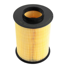 Filtr powietrza Professional Parts 24432881