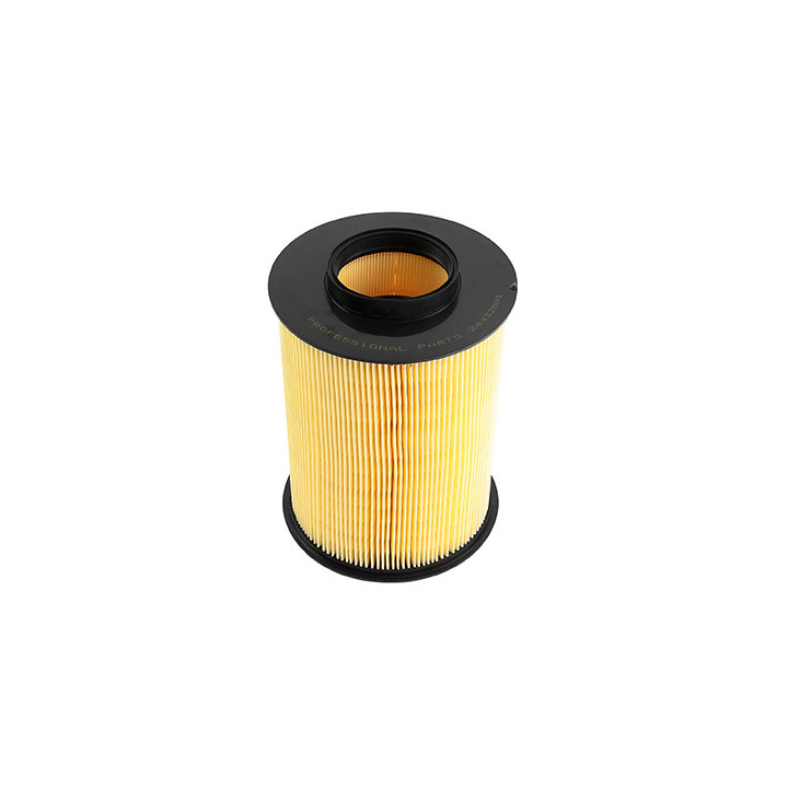 Filtr powietrza Professional Parts 24432881