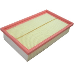 Filtr powietrza Professional Parts 24433560
