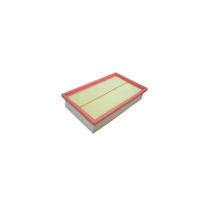 Filtr powietrza Professional Parts 24433560
