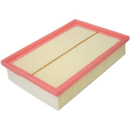 Filtr powietrza Professional Parts 24433561