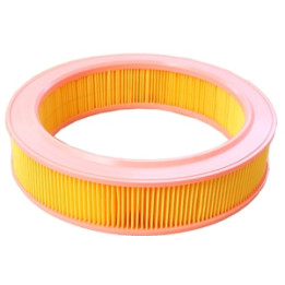 Filtr powietrza Professional Parts 24433679