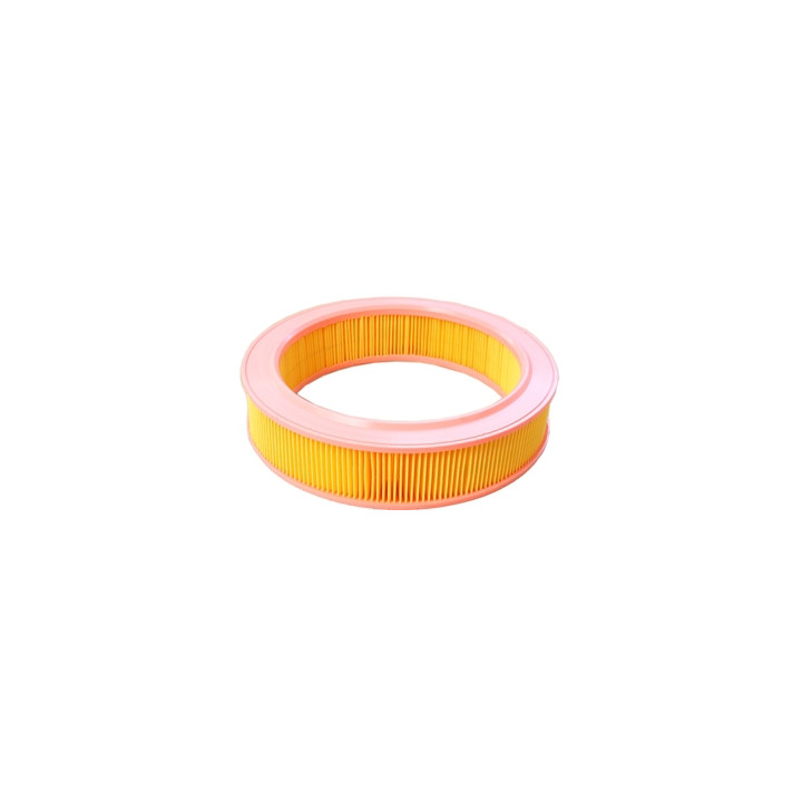 Filtr powietrza Professional Parts 24433679