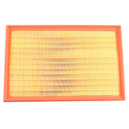 Filtr powietrza Professional Parts 24434647