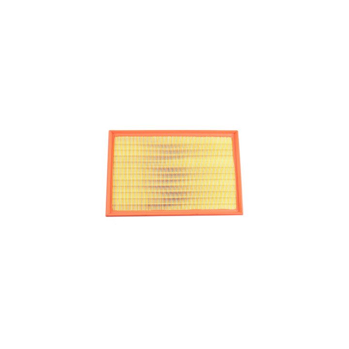 Filtr powietrza Professional Parts 24434647