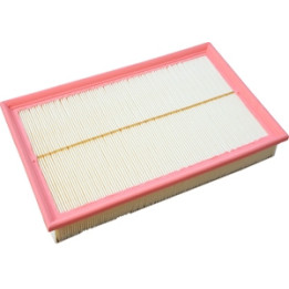 Filtr powietrza Professional Parts 24436361