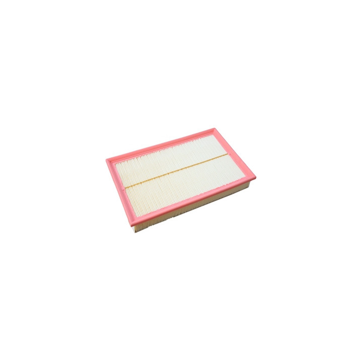 Filtr powietrza Professional Parts 24436361