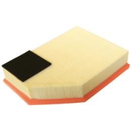 Filtr powietrza Professional Parts 24436551