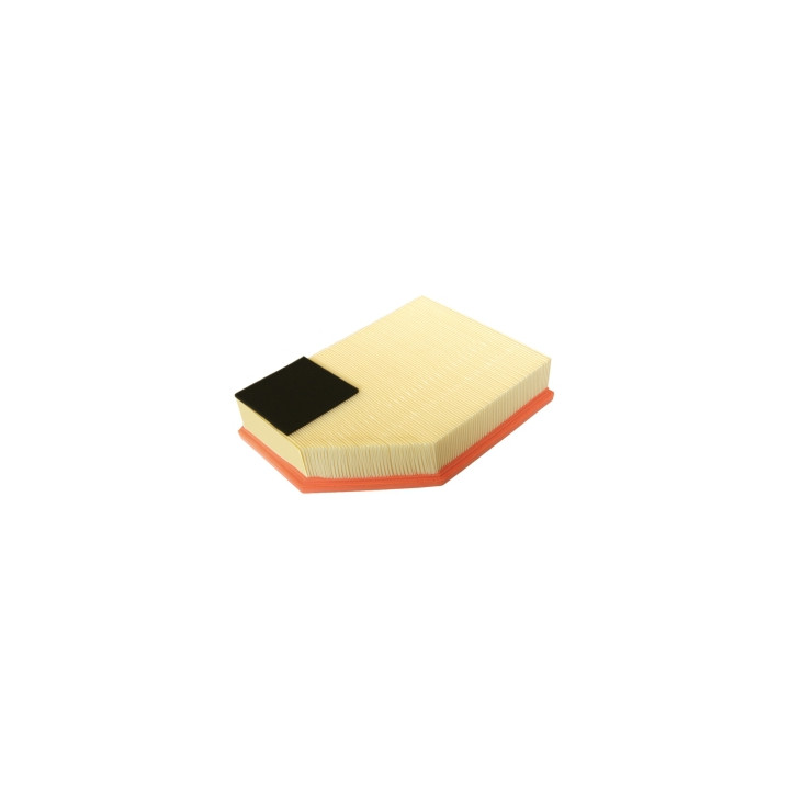 Filtr powietrza Professional Parts 24436551