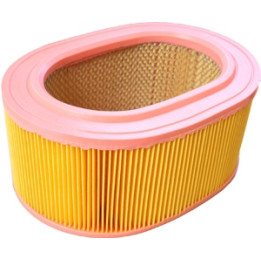 Filtr powietrza Professional Parts 24436825