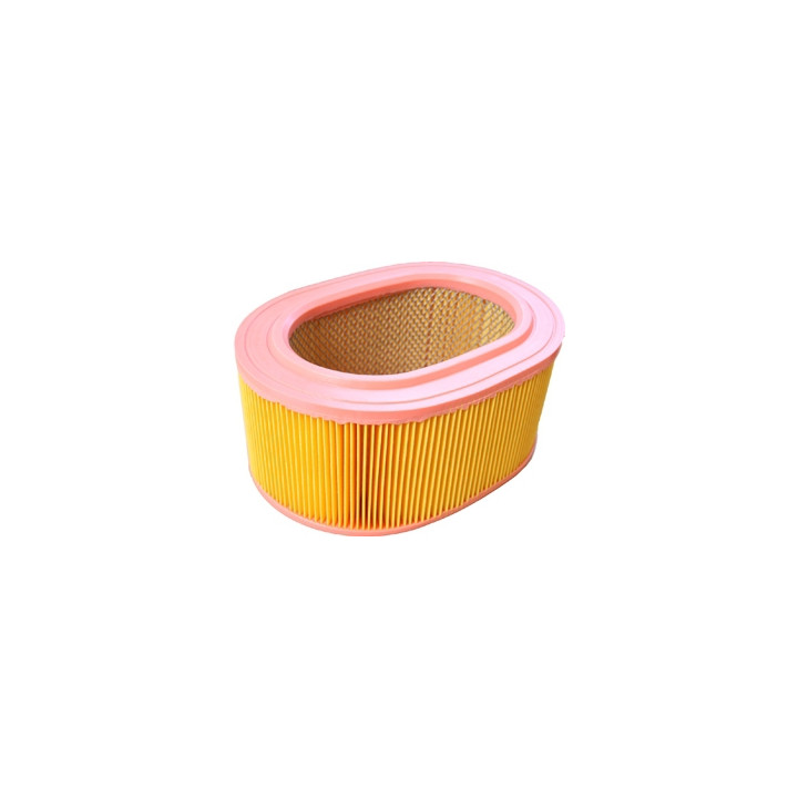 Filtr powietrza Professional Parts 24436825