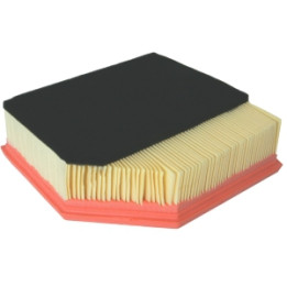 Filtr powietrza Professional Parts 24436833