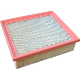 Filtr powietrza Professional Parts 24437444