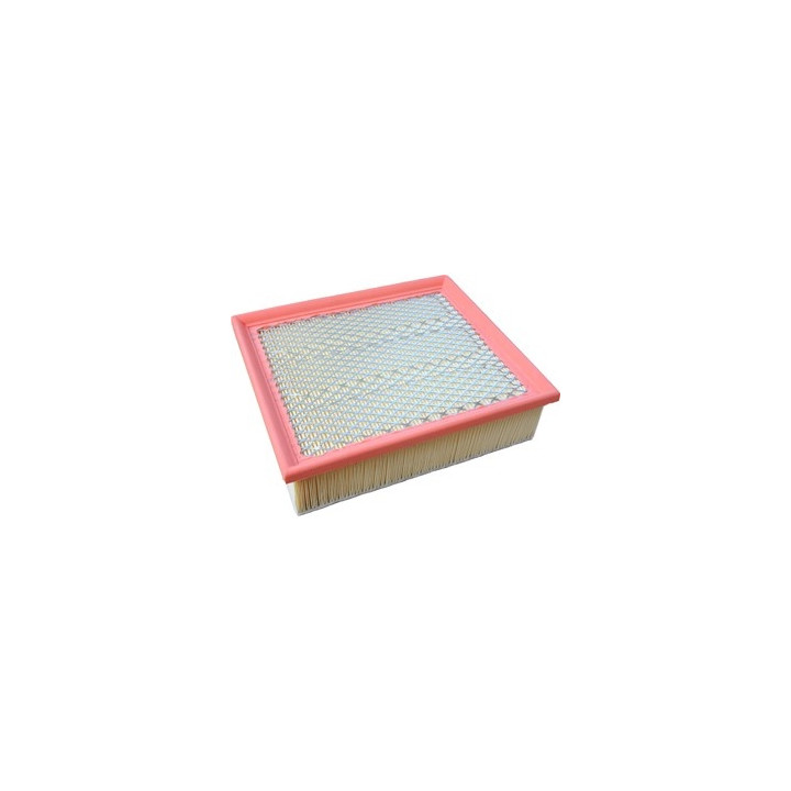 Filtr powietrza Professional Parts 24437444