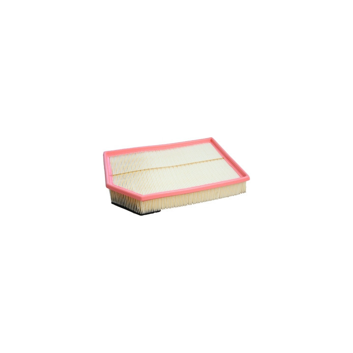 Filtr powietrza Professional Parts 24438600
