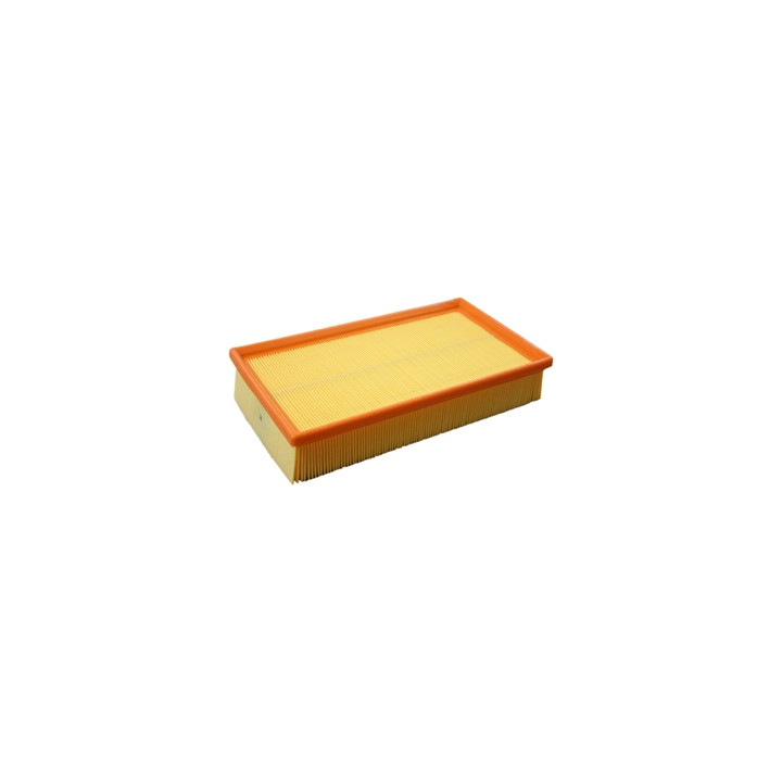 Filtr powietrza Professional Parts 24439308