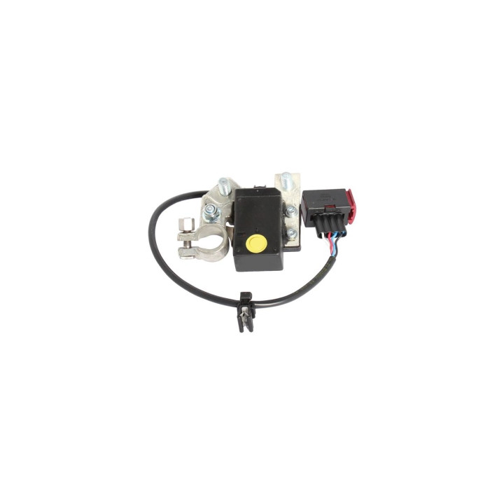 Główny wyłącznik akumulatora Professional Parts 28341308