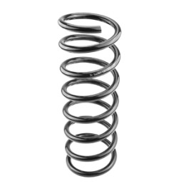 Sprężyna zawieszenia tył Professional Parts 43615850