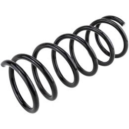 Sprężyna zawieszenia tył Professional Parts 43615854