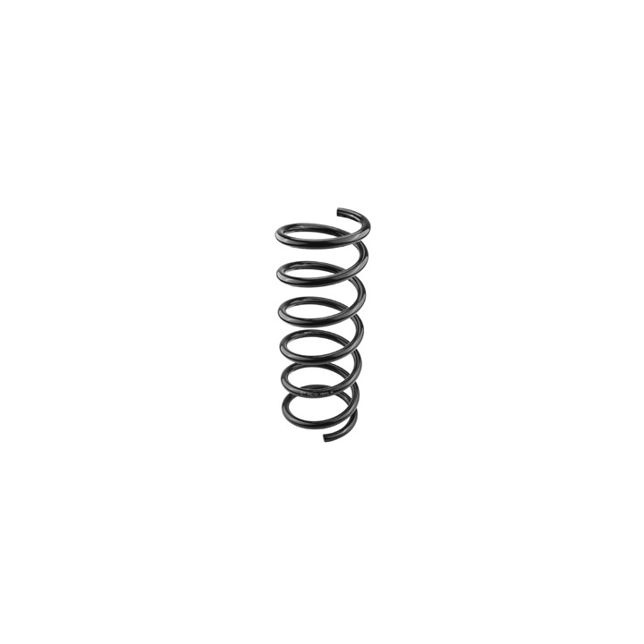Sprężyna zawieszenia tył Professional Parts 43615866