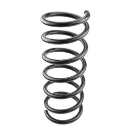 Sprężyna zawieszenia tył Professional Parts 43615867