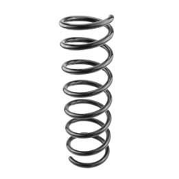 Sprężyna zawieszenia tył Professional Parts 43615877