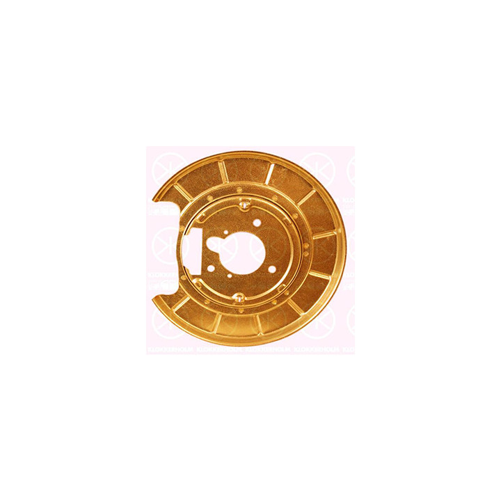 Osłona tarczy hamulcowej tył prawa Professional Parts 51296878