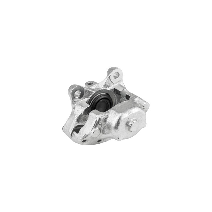 Zacisk hamulcowy tył prawy Professional Parts 51436495