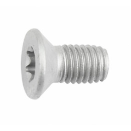 Śruba centrująca tarczy hamulcowej Professional Parts 51991279
