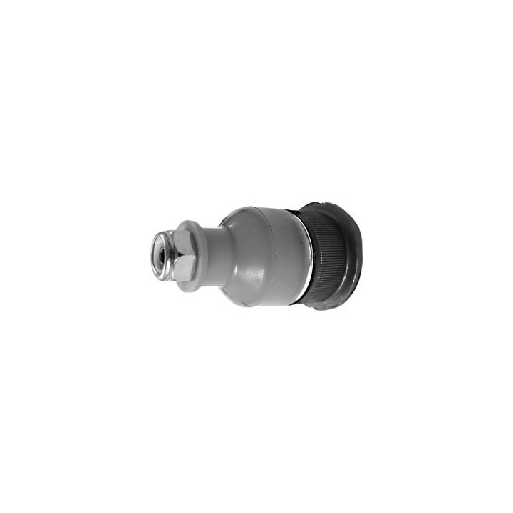 Sworzeń wahacza lewy/prawy Professional Parts 61050020