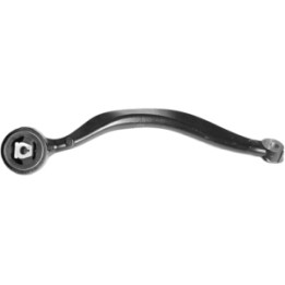Wahacz prawy Professional Parts 61050034