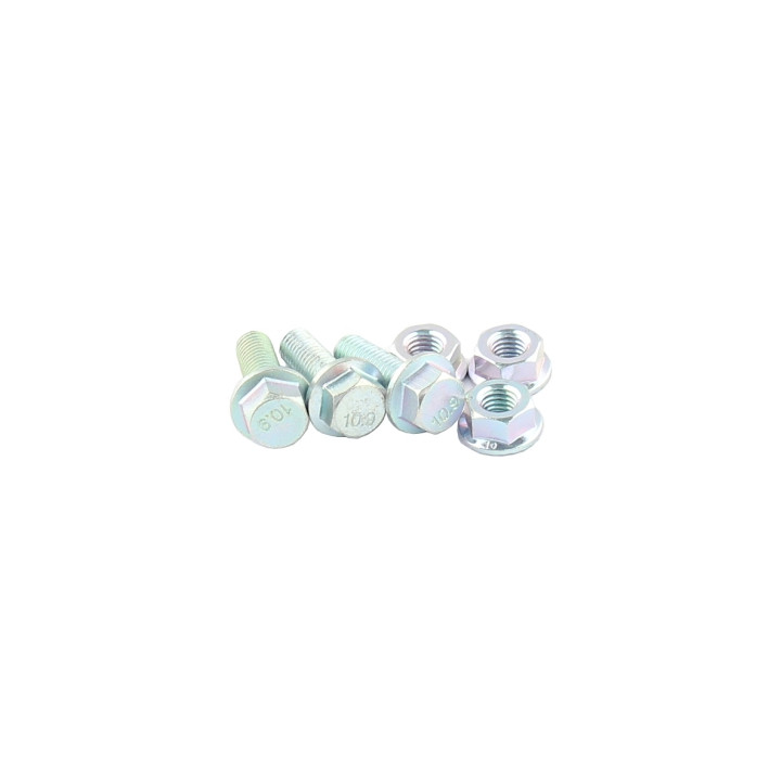 Zestaw śrub sworznia wahacza Professional Parts 61340220
