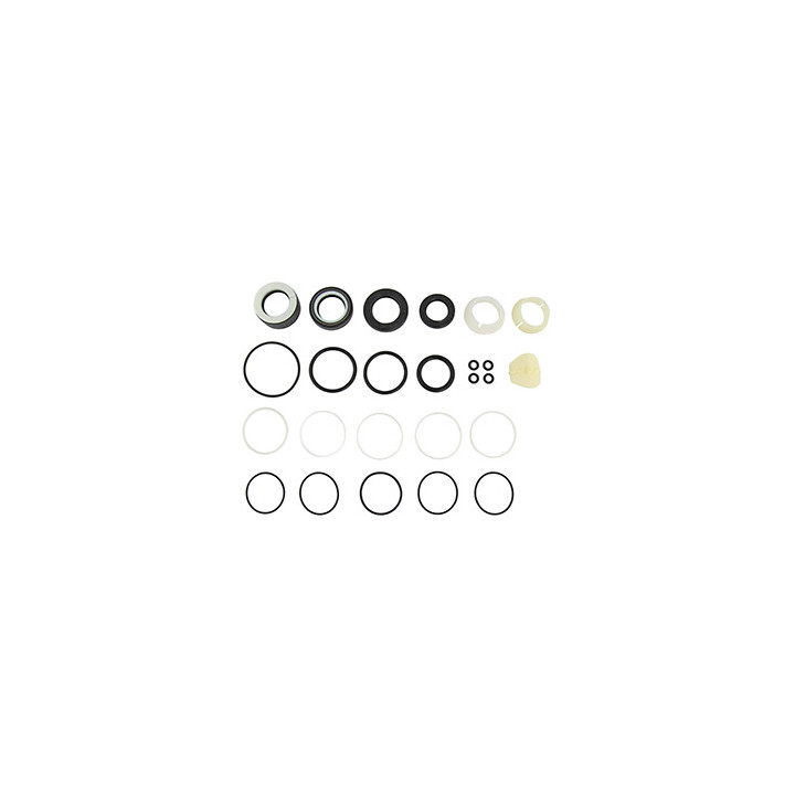 Zestaw uszczelnień przekładni kierowniczej Professional Parts 61344063