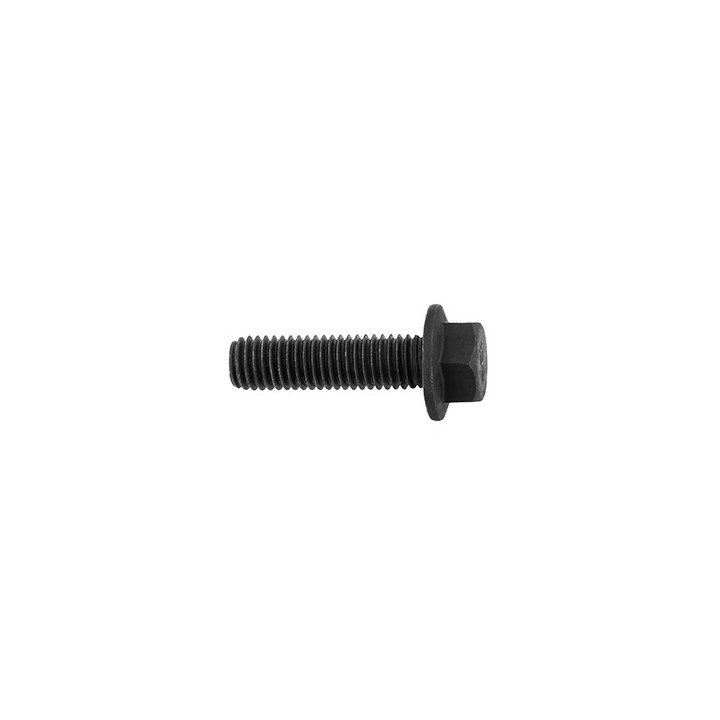 Śruba Professional Parts 61345802