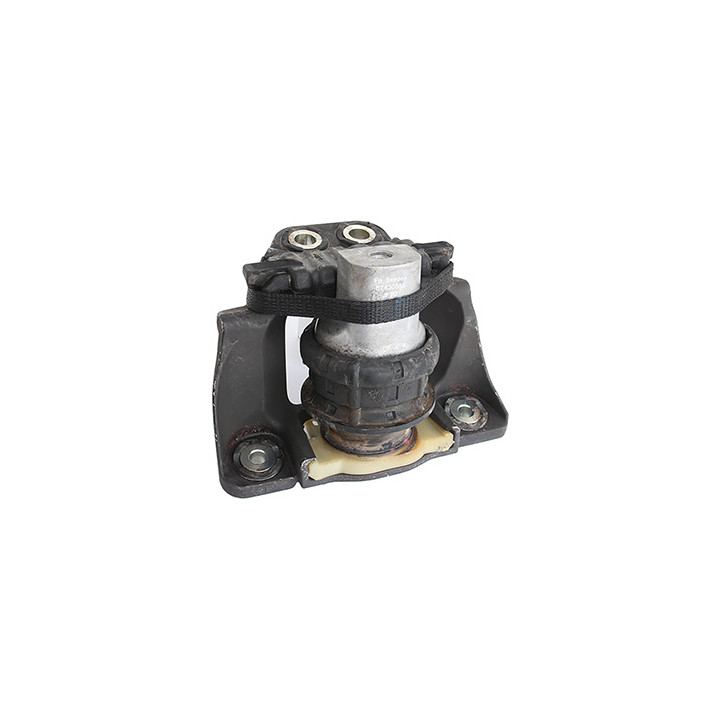 Poduszka silnika Professional Parts 62430588